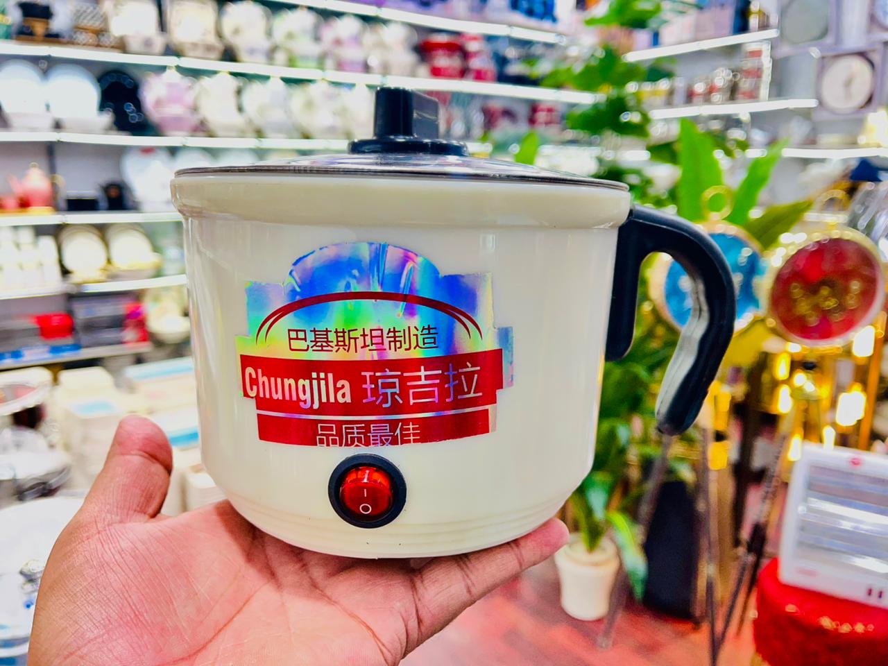 Electric Kettle 3-in-1 (Noodle Maker & Egg Boiler)